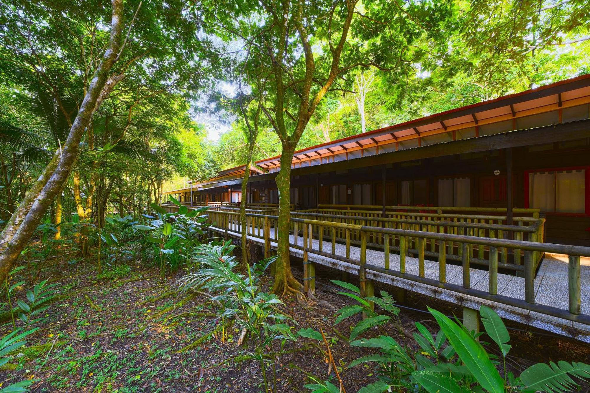 Evergreen Lodge Tortuguero Zewnętrze zdjęcie