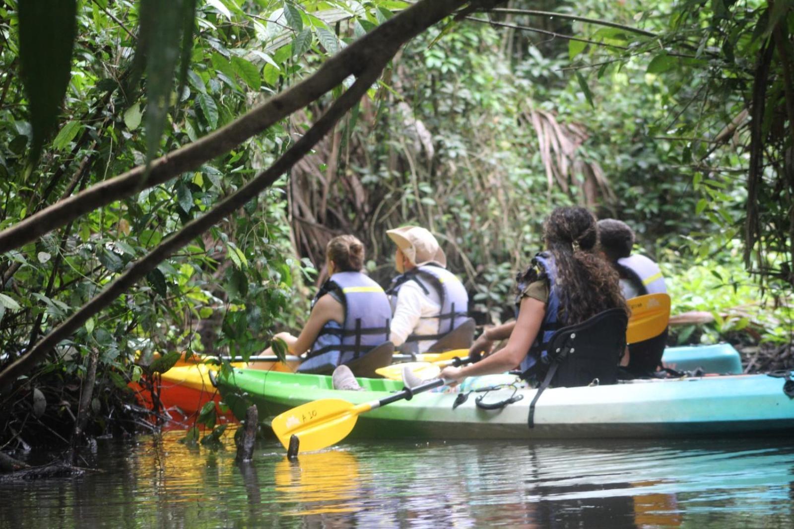 Evergreen Lodge Tortuguero Zewnętrze zdjęcie