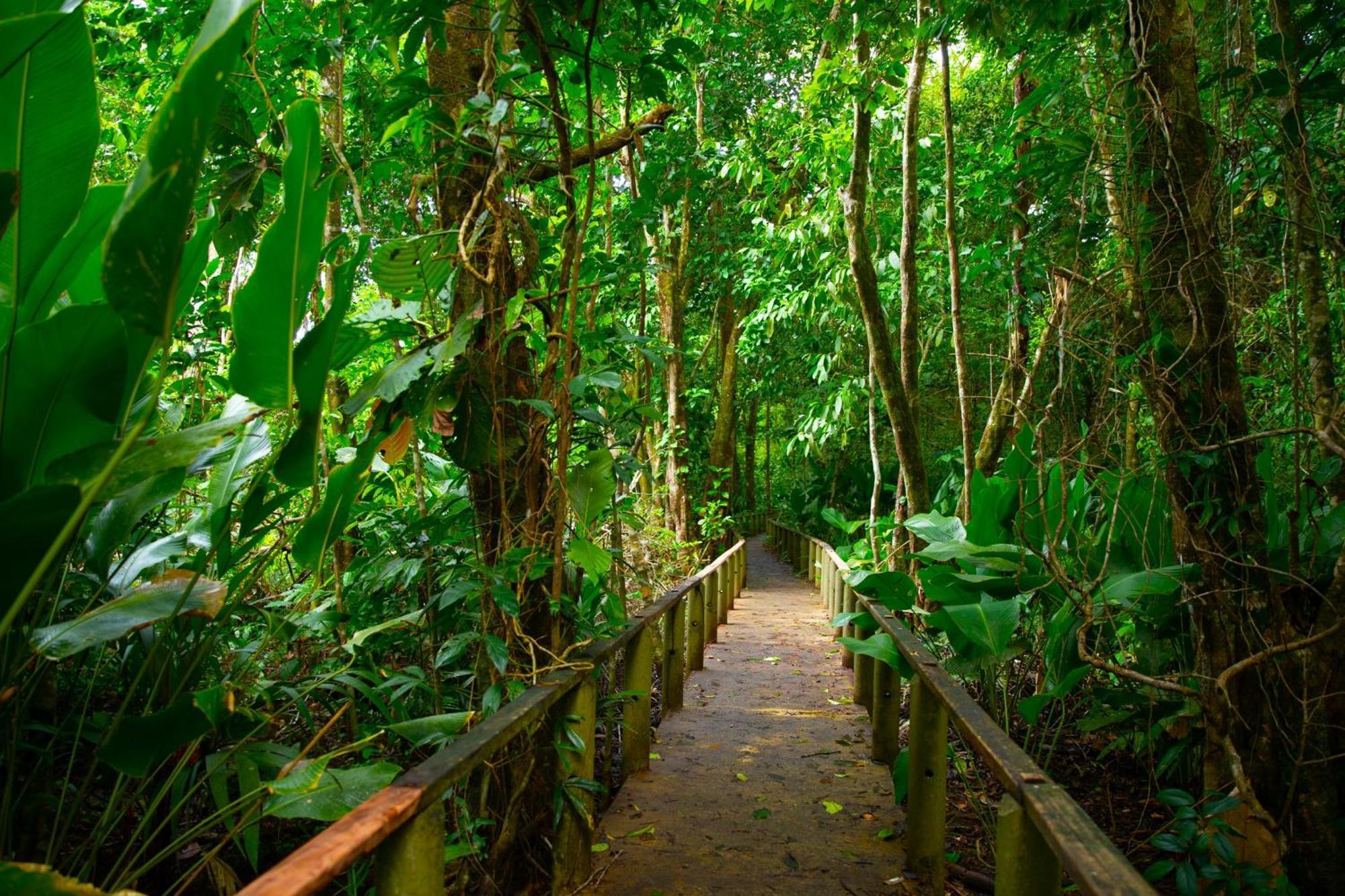 Evergreen Lodge Tortuguero Zewnętrze zdjęcie