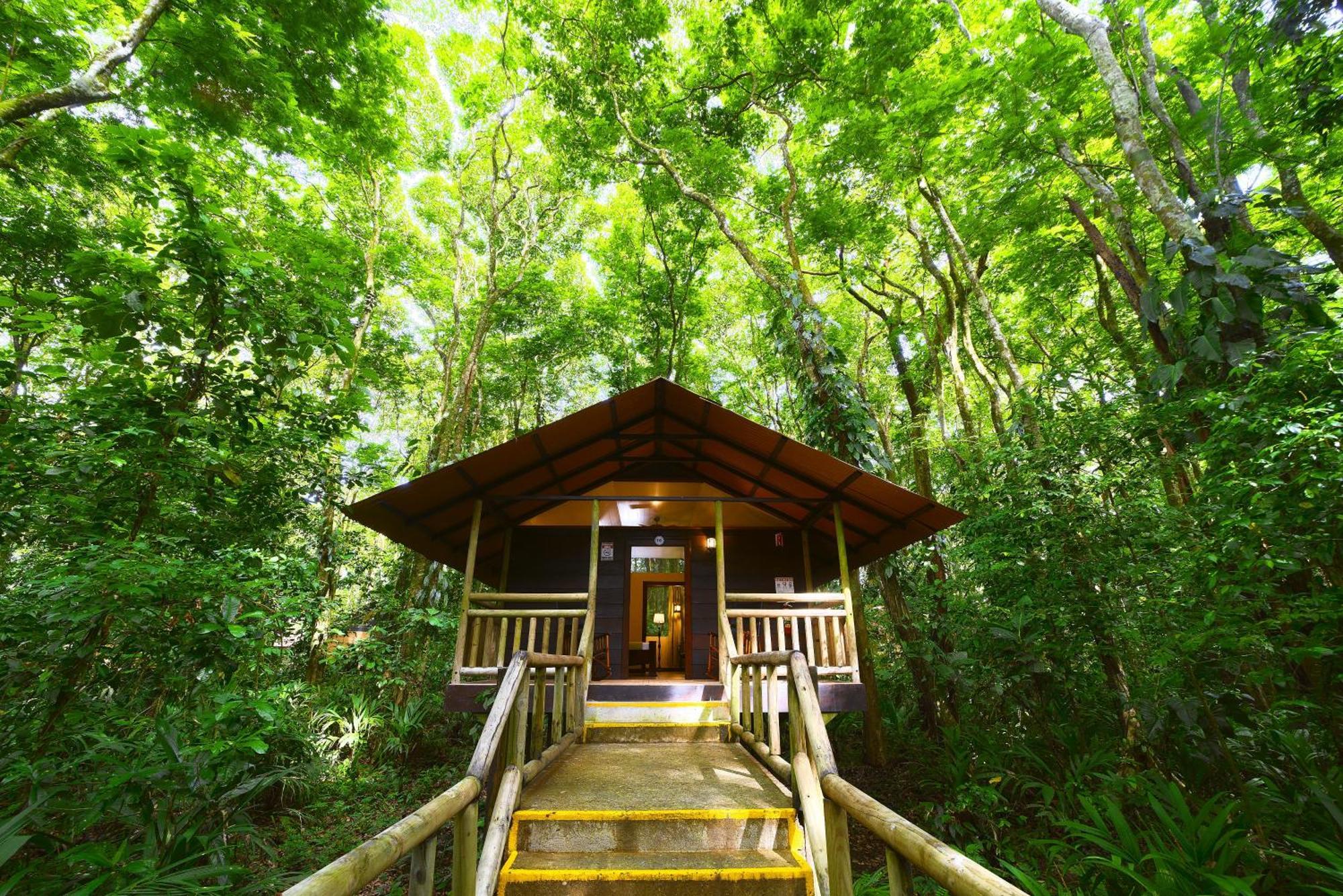 Evergreen Lodge Tortuguero Zewnętrze zdjęcie