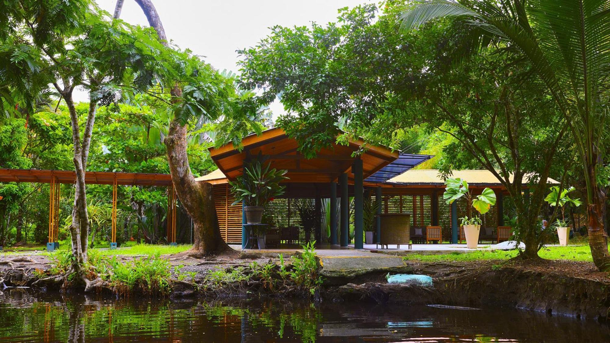 Evergreen Lodge Tortuguero Zewnętrze zdjęcie