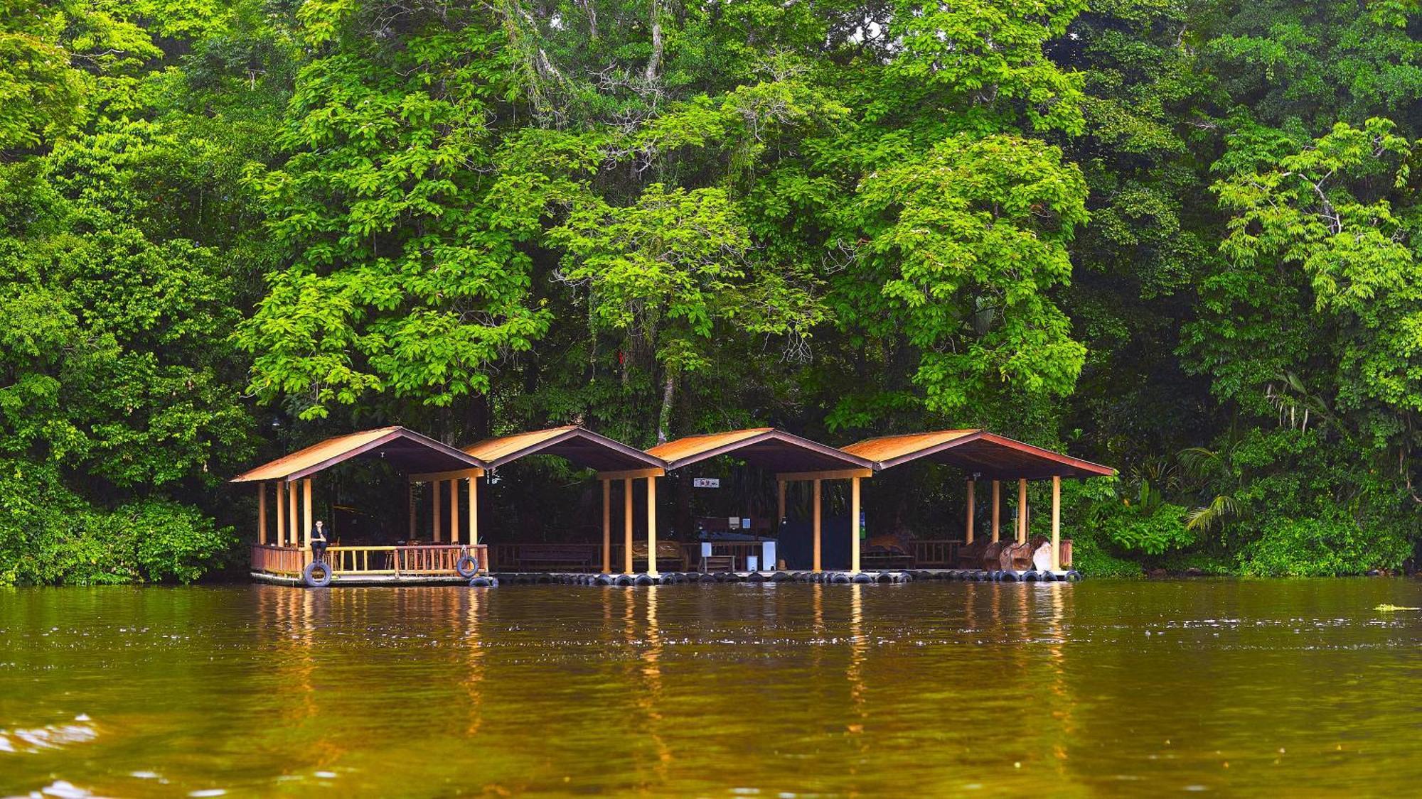 Evergreen Lodge Tortuguero Zewnętrze zdjęcie