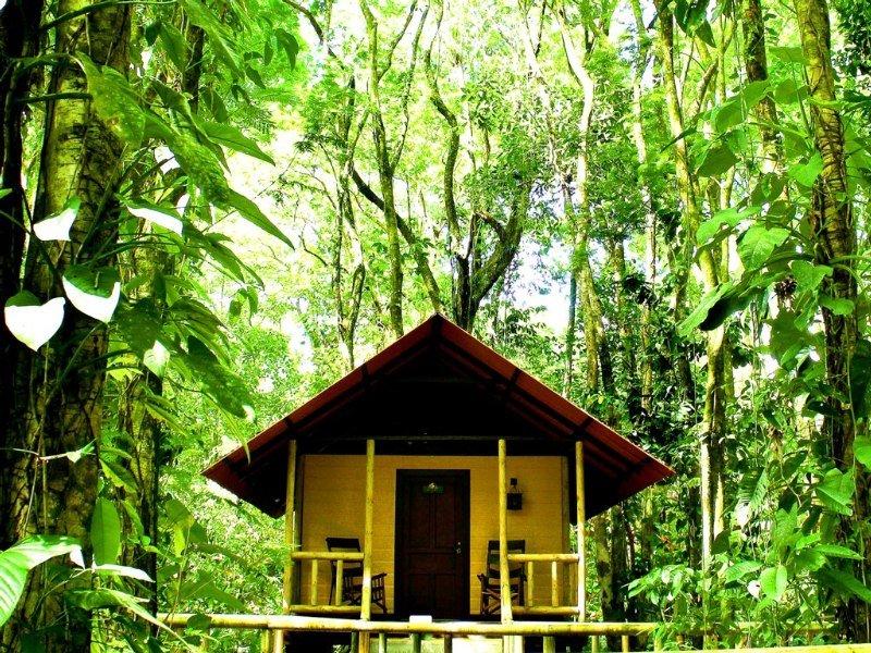 Evergreen Lodge Tortuguero Zewnętrze zdjęcie