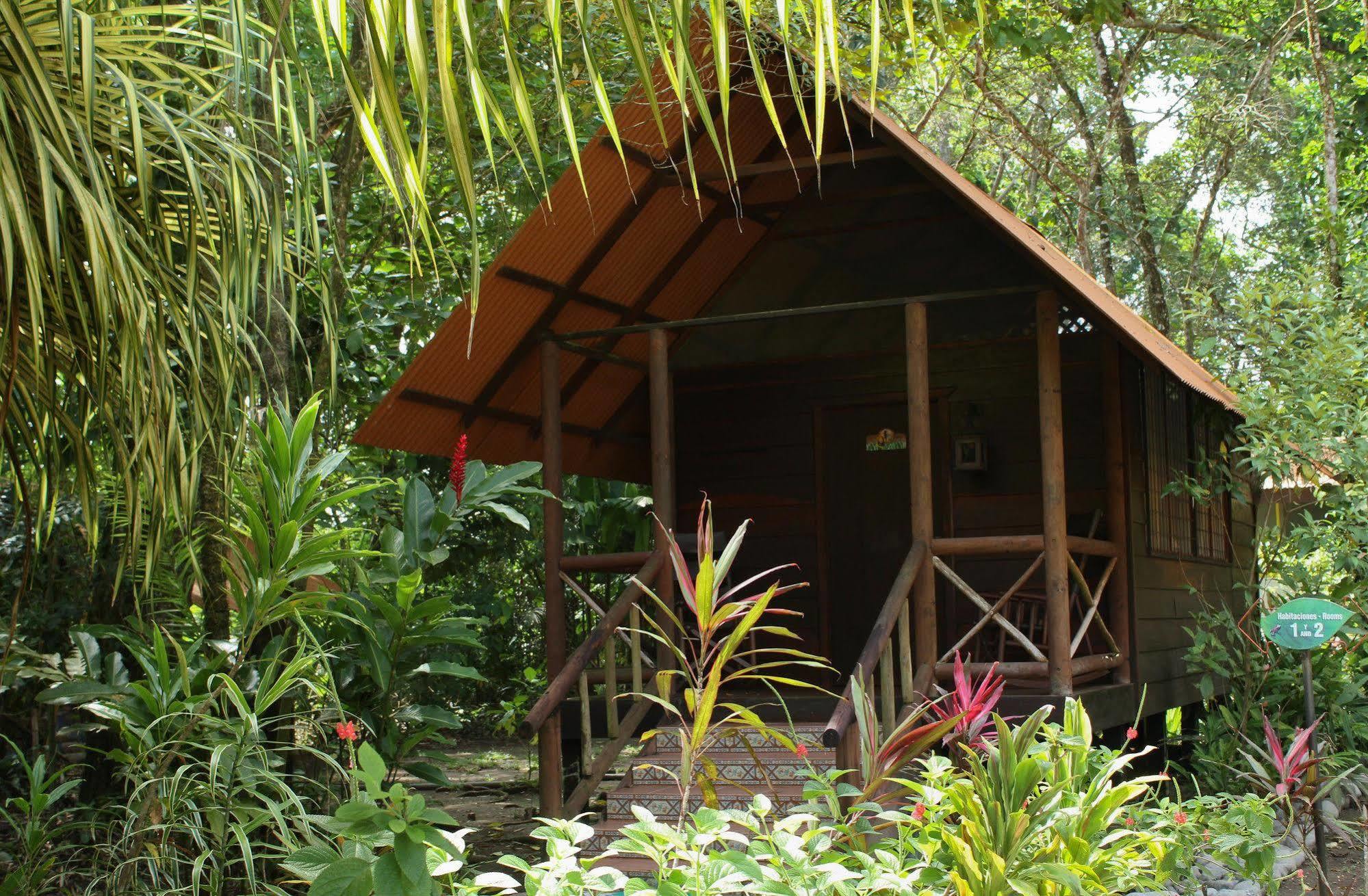 Evergreen Lodge Tortuguero Zewnętrze zdjęcie