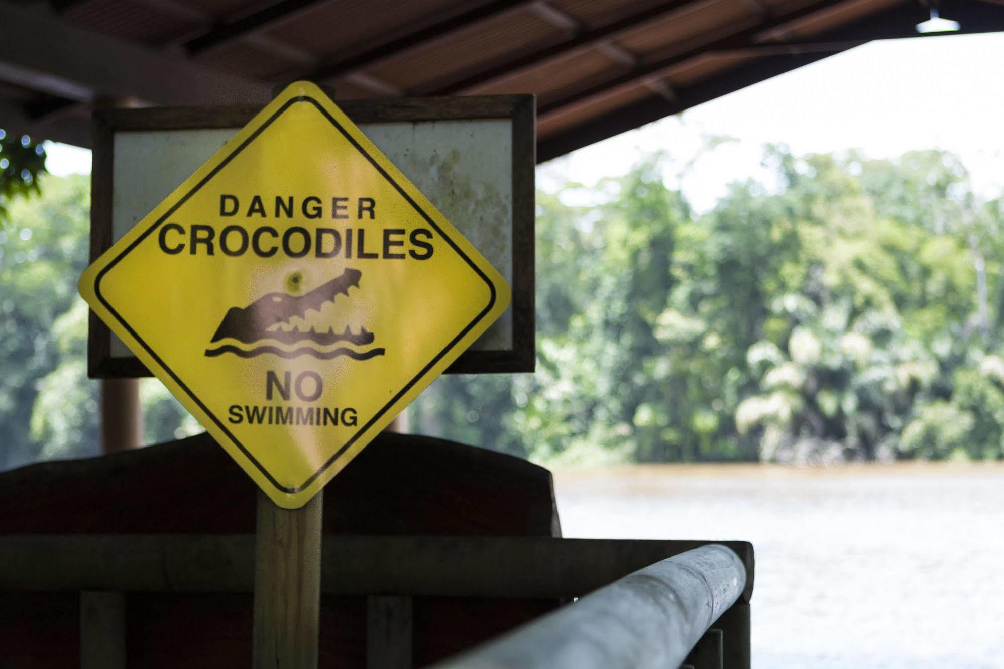 Evergreen Lodge Tortuguero Zewnętrze zdjęcie