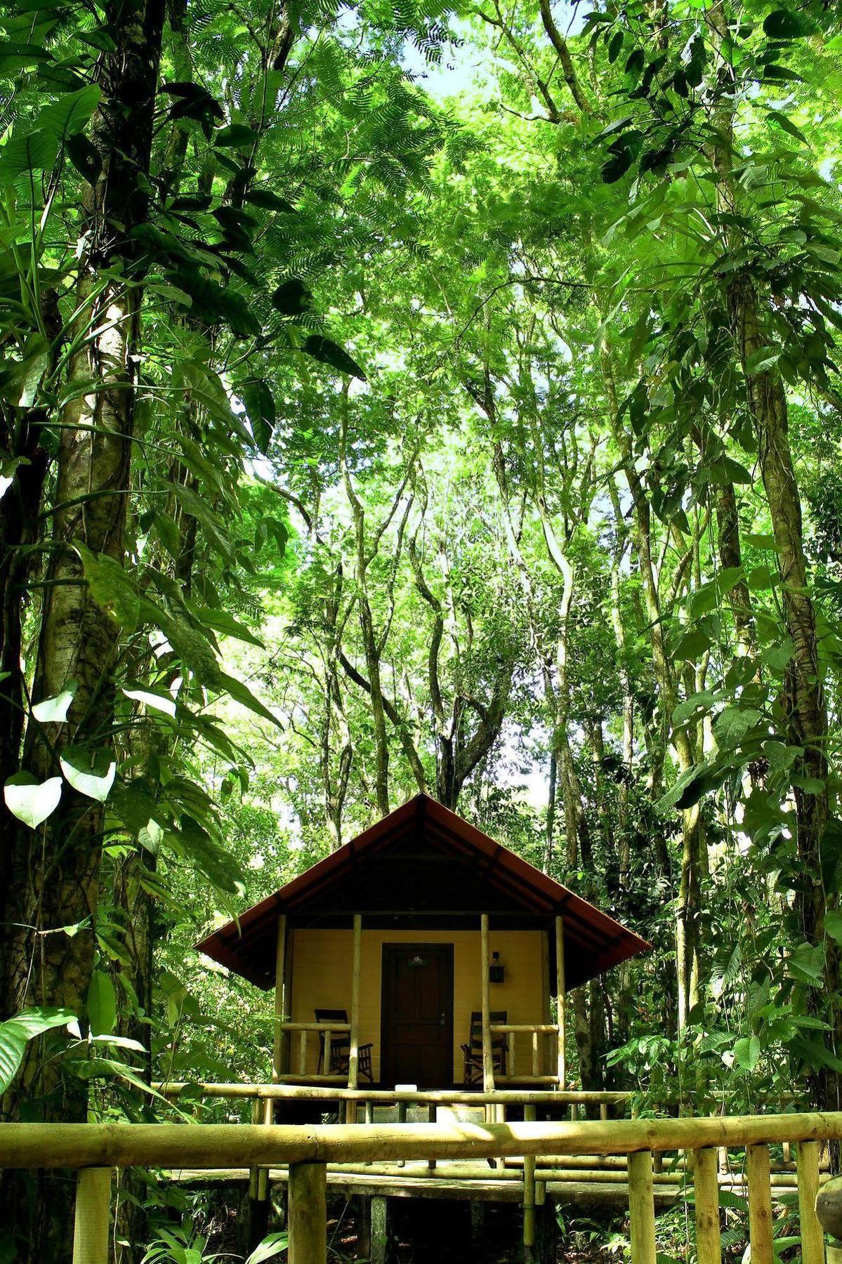 Evergreen Lodge Tortuguero Zewnętrze zdjęcie