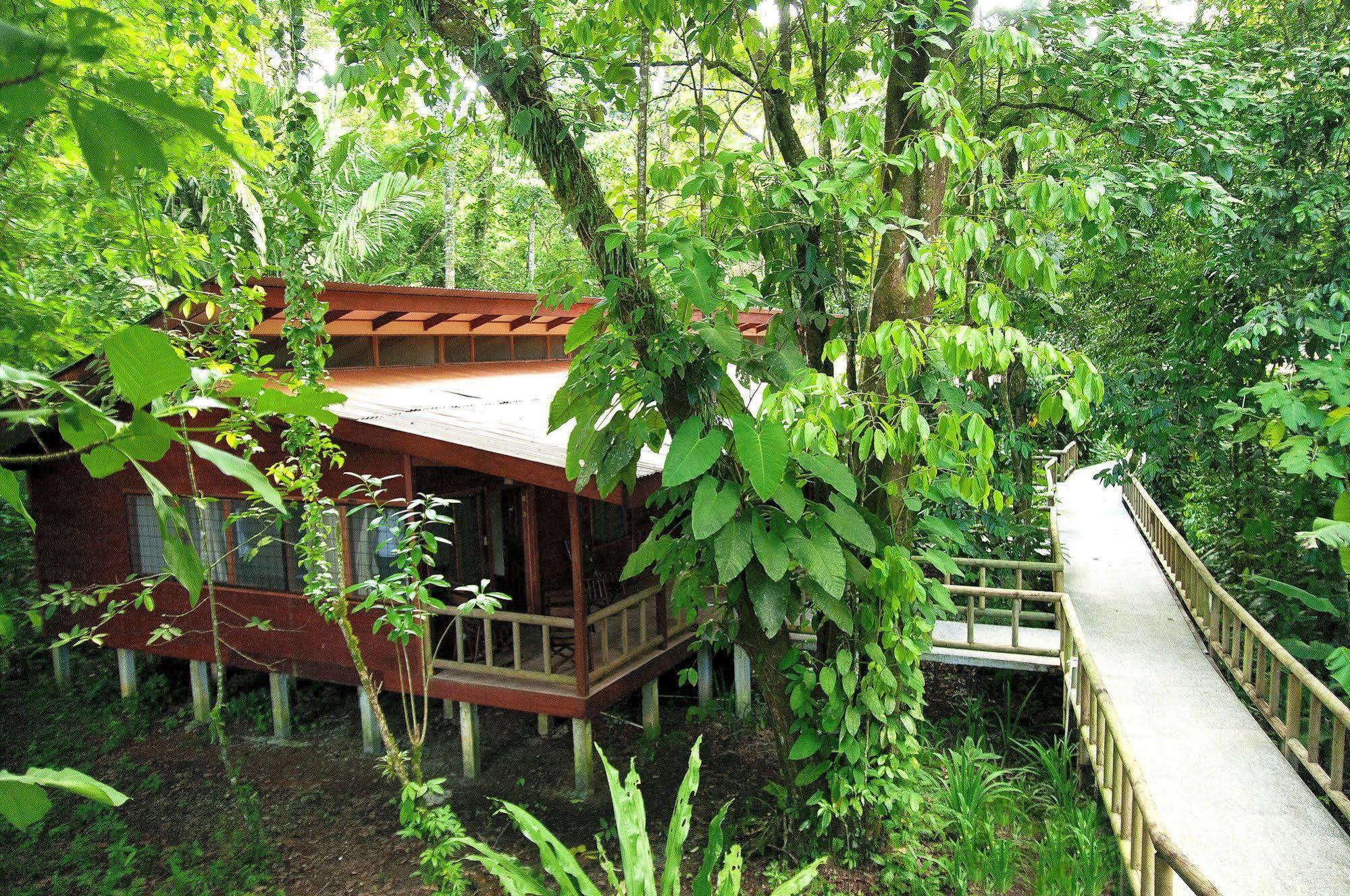 Evergreen Lodge Tortuguero Zewnętrze zdjęcie